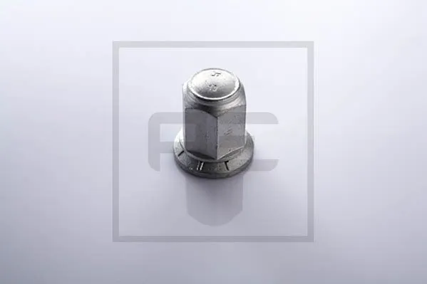 Wheel Nut